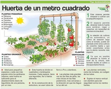 35 ideas de negocios para emprender proyectos ecológicos (I)