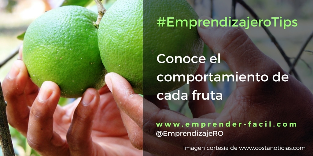 Brochetas de frutas: para creativos