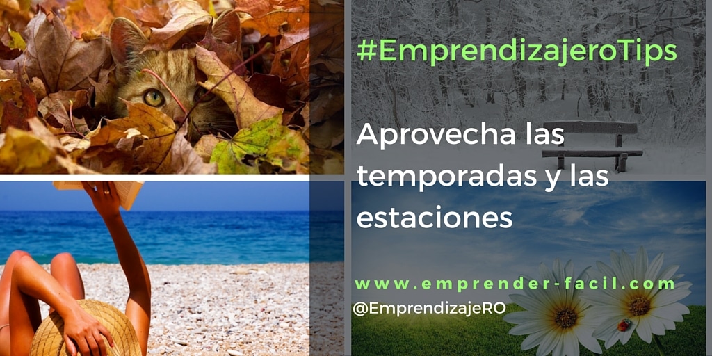 Brochetas de frutas: para creativos