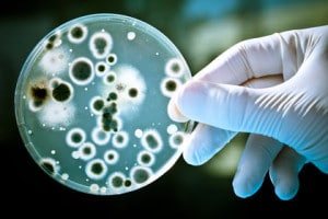 Contaminación del agua: Alibio empresa responsable