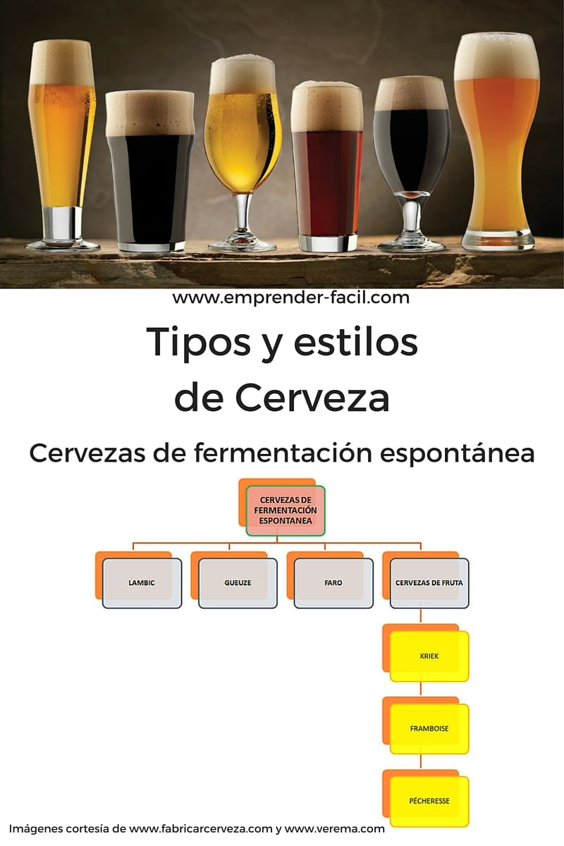 Cerveza casera: Desde la receta hasta el negocio