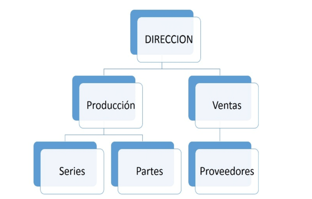 Organigrama de una empresa. **LAS BASES** de tu negocio