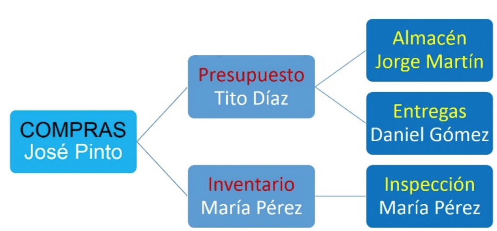 Organigrama de una empresa. **LAS BASES** de tu negocio