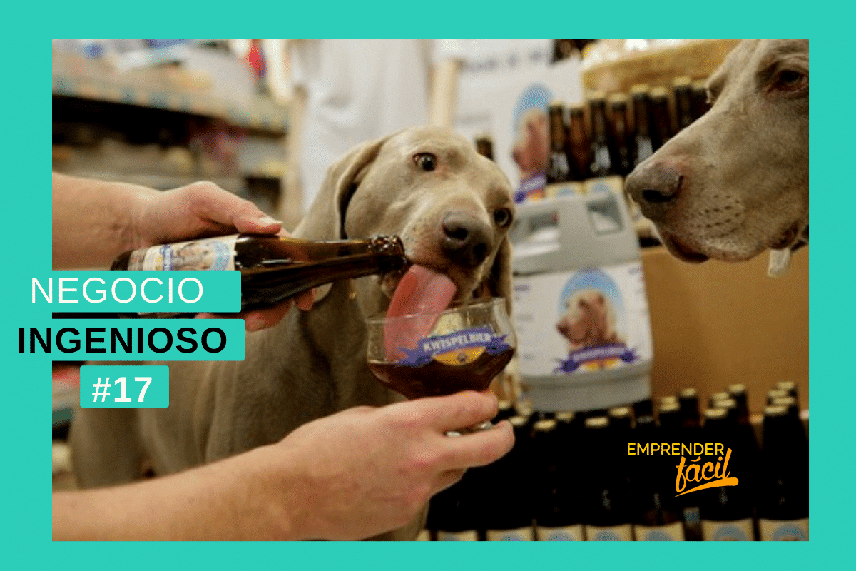 Ideas de negocio para cerveza para perros