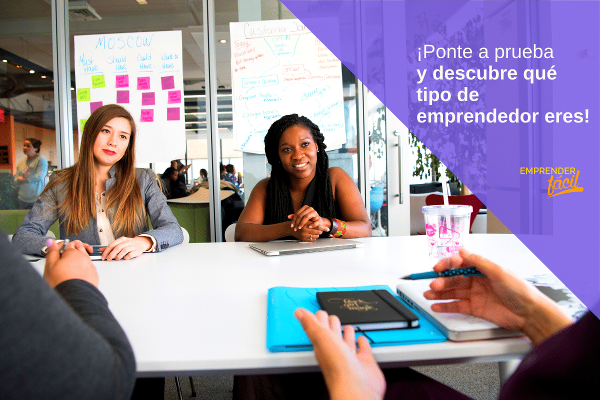 Existen muchos Tipos de Emprendedores