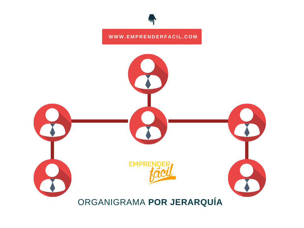 Organigrama por jerarquía