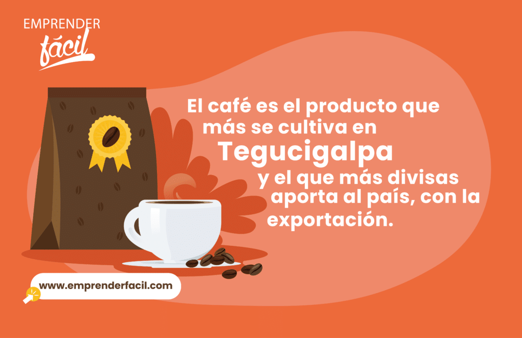 Realizar café artesanal es uno de los negocios rentables en Tegucigalpa.
