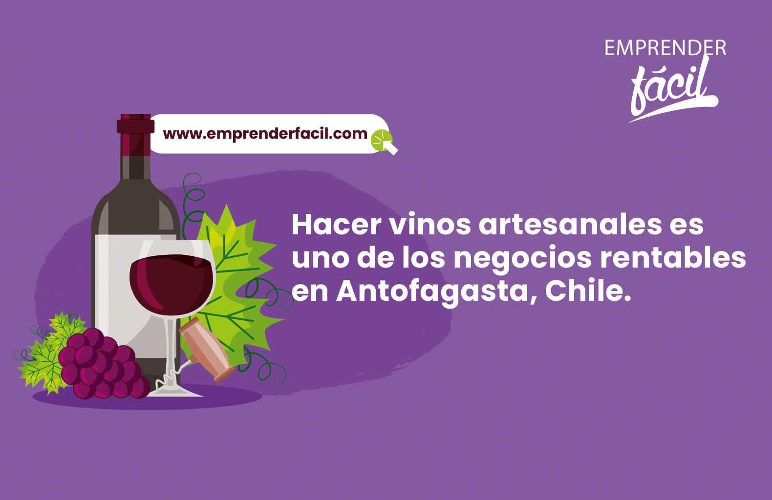 Hacer vinos artesanales es uno de los negocios rentables en Antofagasta, Chile.