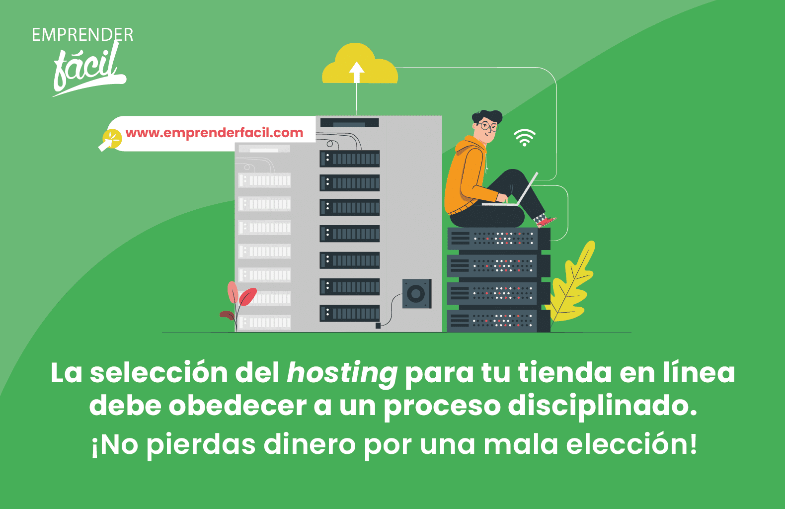 La selección del hosting para tu tienda en línea debe obedecer a un proceso disciplinado.