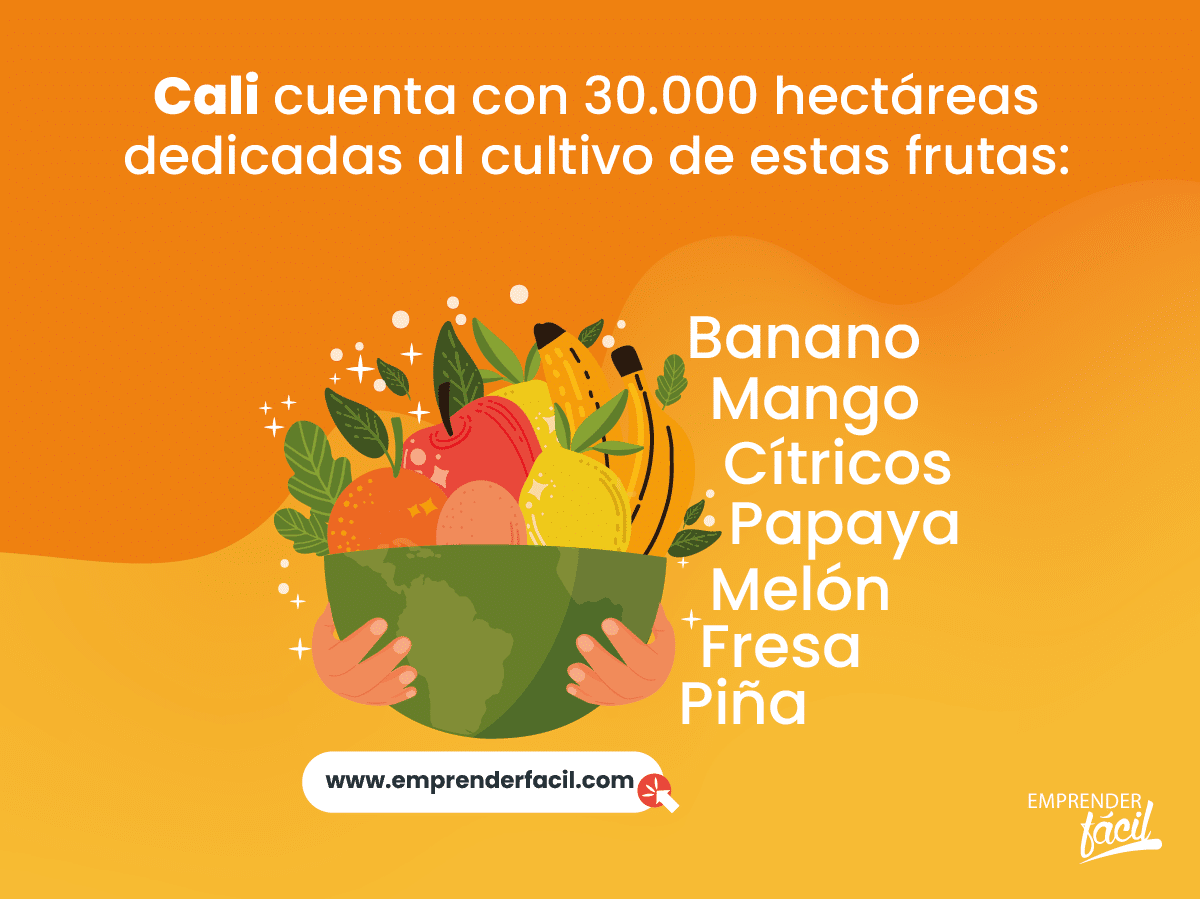 Las frutas te ofrecen posibilidades