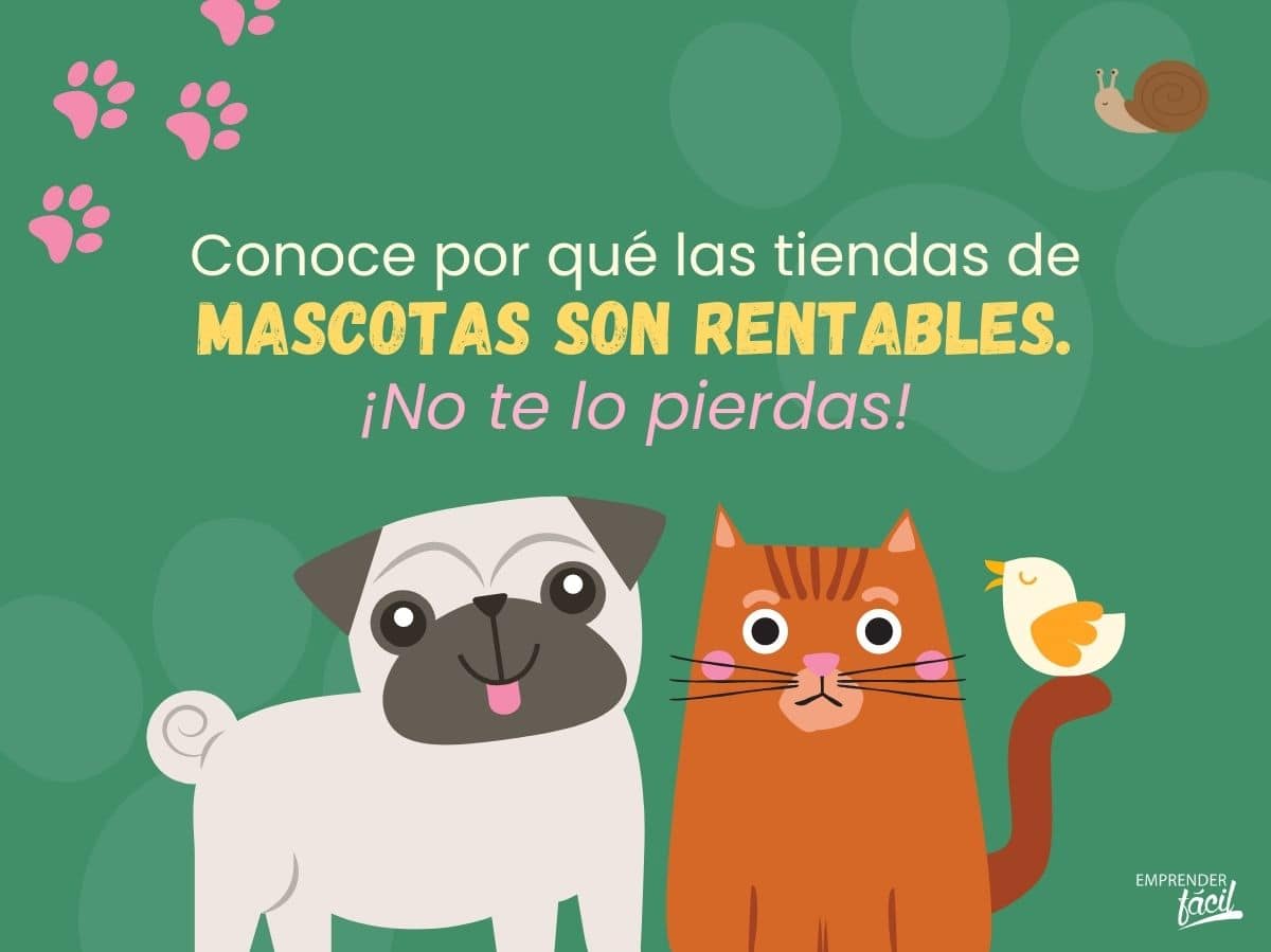 ¿Las tiendas de mascotas son rentables? Parte I