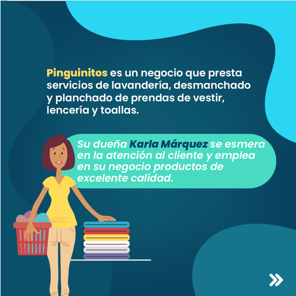 crecimiento interno en empresas de servicios. Caso: lavandería pinguinitos