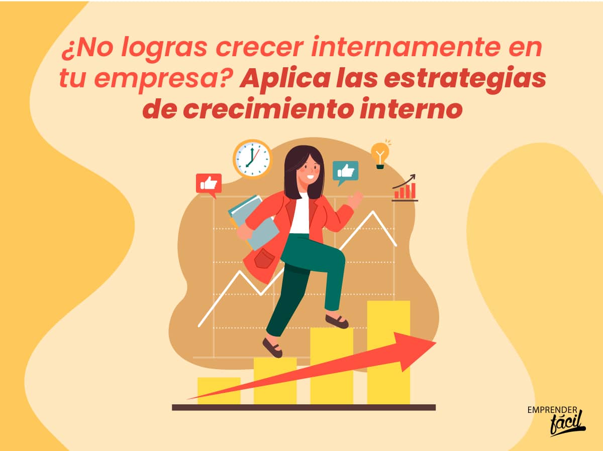 Crecimiento interno para pymes: 8 estrategias e iniciativas. Parte I